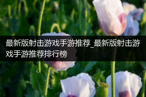 最新版射击游戏手游推荐_最新版射击游戏手游推荐排行榜