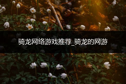 骑龙网络游戏推荐_骑龙的网游