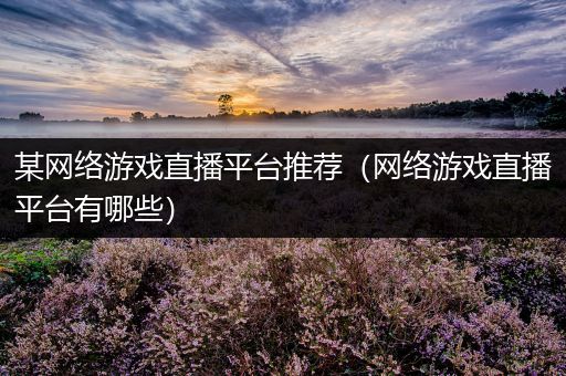 某网络游戏直播平台推荐（网络游戏直播平台有哪些）