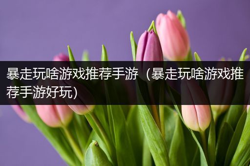 暴走玩啥游戏推荐手游（暴走玩啥游戏推荐手游好玩）