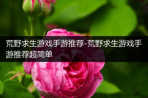荒野求生游戏手游推荐-荒野求生游戏手游推荐超简单
