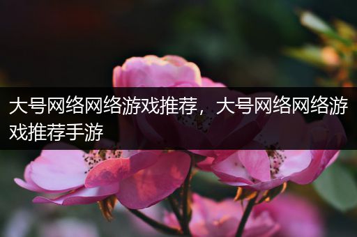 大号网络网络游戏推荐，大号网络网络游戏推荐手游