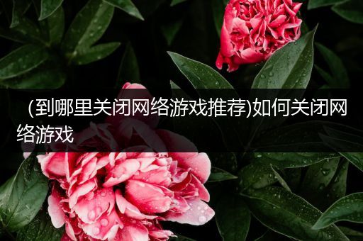 （到哪里关闭网络游戏推荐)如何关闭网络游戏