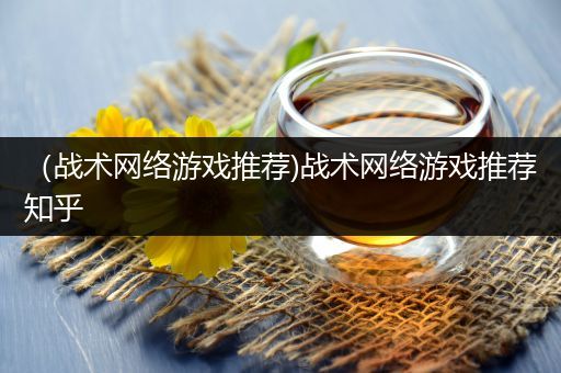 （战术网络游戏推荐)战术网络游戏推荐知乎