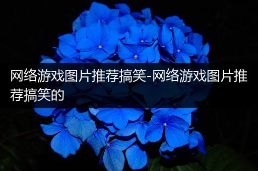 网络游戏图片推荐搞笑-网络游戏图片推荐搞笑的