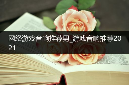 网络游戏音响推荐男_游戏音响推荐2021