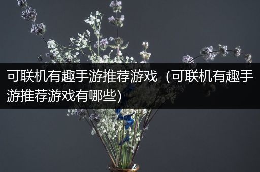可联机有趣手游推荐游戏（可联机有趣手游推荐游戏有哪些）