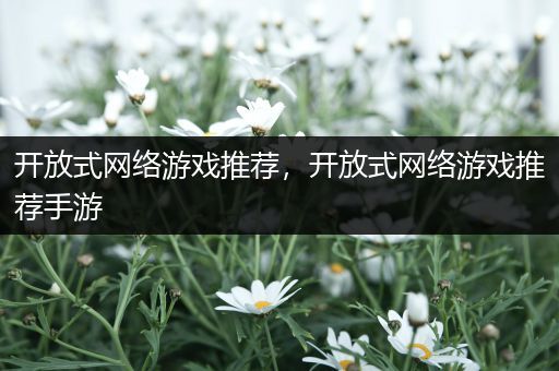 开放式网络游戏推荐，开放式网络游戏推荐手游