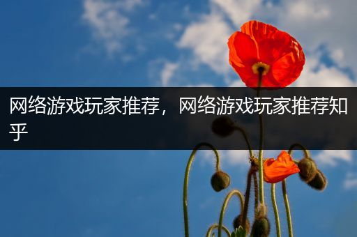 网络游戏玩家推荐，网络游戏玩家推荐知乎