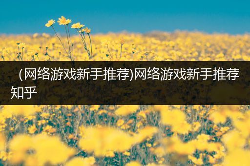 （网络游戏新手推荐)网络游戏新手推荐知乎