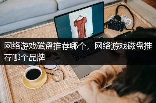 网络游戏磁盘推荐哪个，网络游戏磁盘推荐哪个品牌