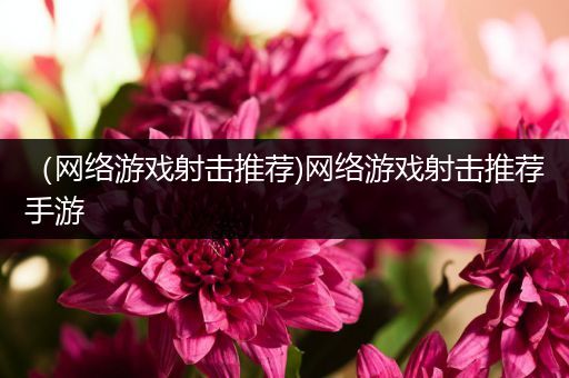 （网络游戏射击推荐)网络游戏射击推荐手游