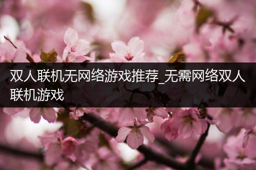 双人联机无网络游戏推荐_无需网络双人联机游戏