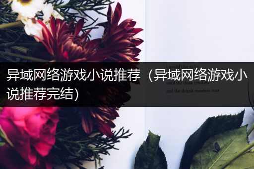 异域网络游戏小说推荐（异域网络游戏小说推荐完结）