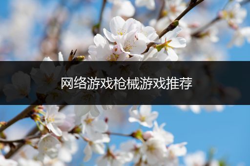 网络游戏枪械游戏推荐