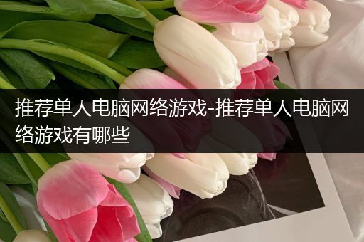 推荐单人电脑网络游戏-推荐单人电脑网络游戏有哪些