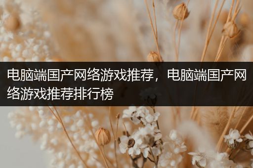 电脑端国产网络游戏推荐，电脑端国产网络游戏推荐排行榜