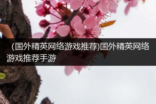 （国外精英网络游戏推荐)国外精英网络游戏推荐手游