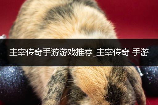 主宰传奇手游游戏推荐_主宰传奇 手游