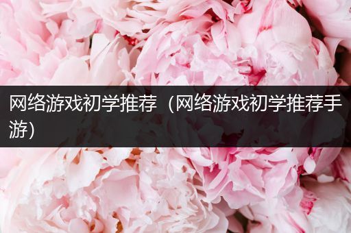 网络游戏初学推荐（网络游戏初学推荐手游）