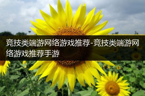 竞技类端游网络游戏推荐-竞技类端游网络游戏推荐手游