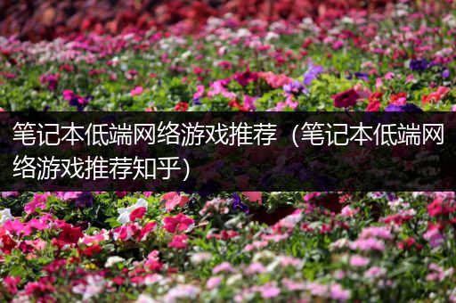 笔记本低端网络游戏推荐（笔记本低端网络游戏推荐知乎）