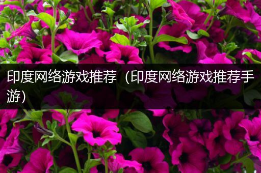 印度网络游戏推荐（印度网络游戏推荐手游）