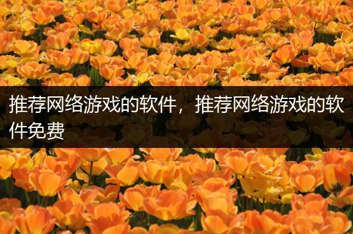 推荐网络游戏的软件，推荐网络游戏的软件免费