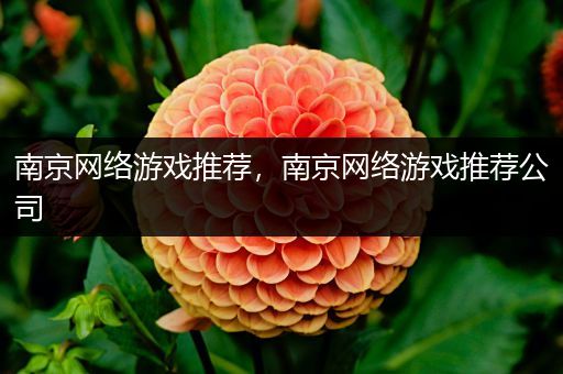 南京网络游戏推荐，南京网络游戏推荐公司