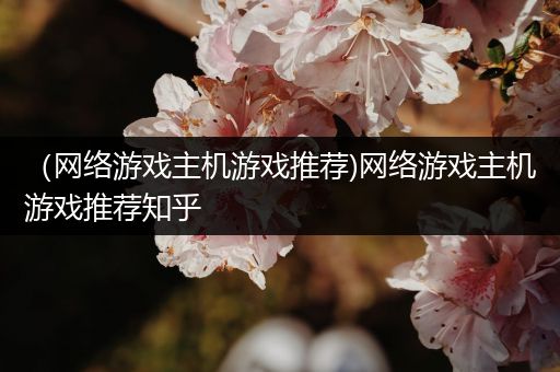 （网络游戏主机游戏推荐)网络游戏主机游戏推荐知乎