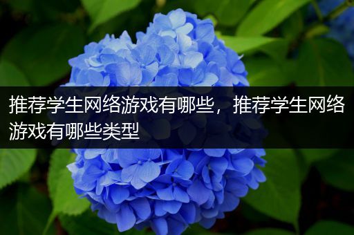 推荐学生网络游戏有哪些，推荐学生网络游戏有哪些类型