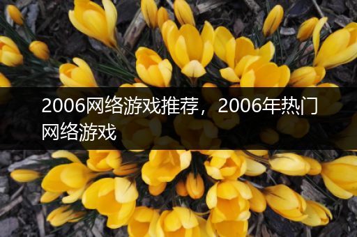 2006网络游戏推荐，2006年热门网络游戏