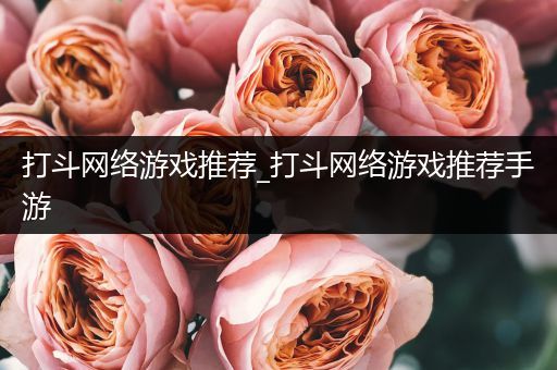 打斗网络游戏推荐_打斗网络游戏推荐手游