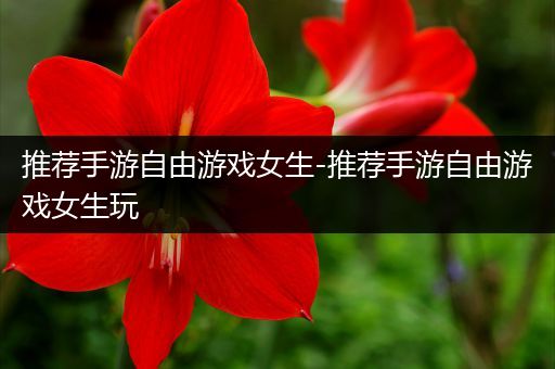 推荐手游自由游戏女生-推荐手游自由游戏女生玩