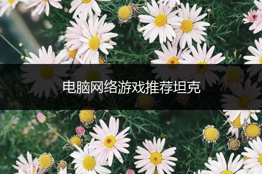 电脑网络游戏推荐坦克