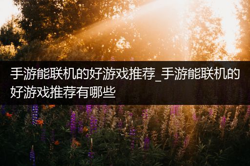 手游能联机的好游戏推荐_手游能联机的好游戏推荐有哪些