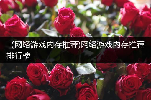 （网络游戏内存推荐)网络游戏内存推荐排行榜