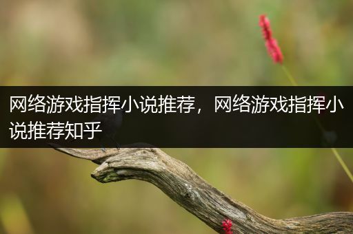 网络游戏指挥小说推荐，网络游戏指挥小说推荐知乎