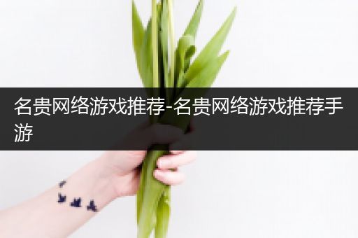 名贵网络游戏推荐-名贵网络游戏推荐手游