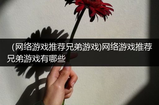 （网络游戏推荐兄弟游戏)网络游戏推荐兄弟游戏有哪些