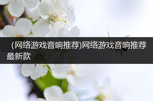 （网络游戏音响推荐)网络游戏音响推荐最新款