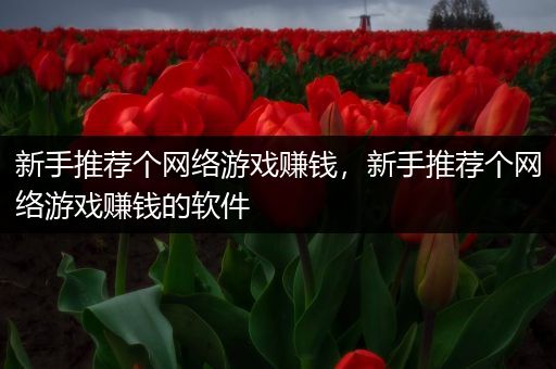 新手推荐个网络游戏赚钱，新手推荐个网络游戏赚钱的软件