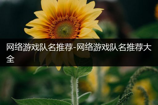 网络游戏队名推荐-网络游戏队名推荐大全