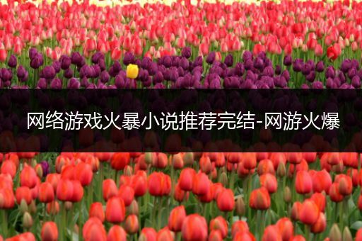 网络游戏火暴小说推荐完结-网游火爆