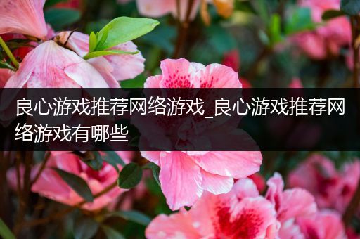 良心游戏推荐网络游戏_良心游戏推荐网络游戏有哪些