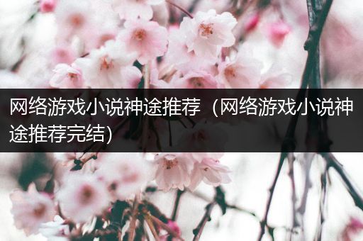 网络游戏小说神途推荐（网络游戏小说神途推荐完结）
