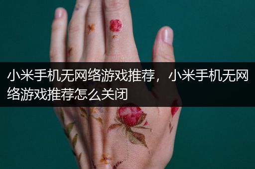 小米手机无网络游戏推荐，小米手机无网络游戏推荐怎么关闭