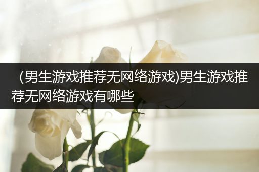 （男生游戏推荐无网络游戏)男生游戏推荐无网络游戏有哪些