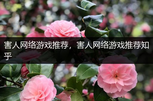 害人网络游戏推荐，害人网络游戏推荐知乎