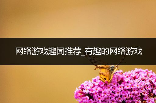 网络游戏趣闻推荐_有趣的网络游戏